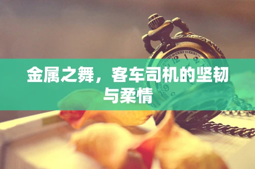金属之舞，客车司机的坚韧与柔情