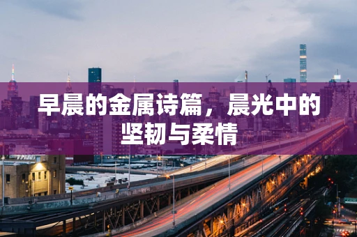 早晨的金属诗篇，晨光中的坚韧与柔情