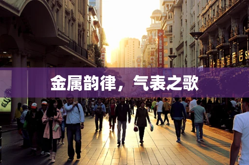 金属韵律，气表之歌
