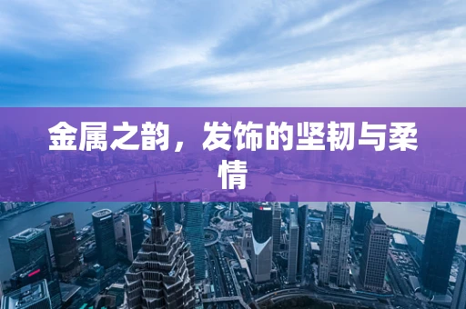 金属之韵，发饰的坚韧与柔情
