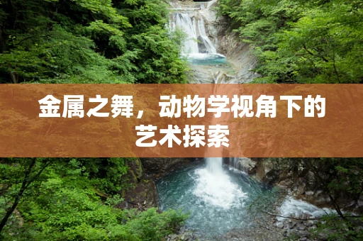 金属之舞，动物学视角下的艺术探索