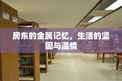 房东的金属记忆，生活的坚固与温情