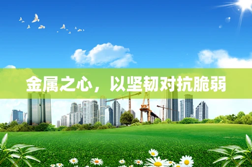 金属之心，以坚韧对抗脆弱