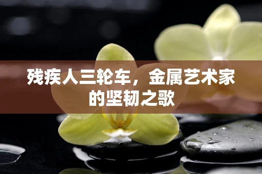 残疾人三轮车，金属艺术家的坚韧之歌