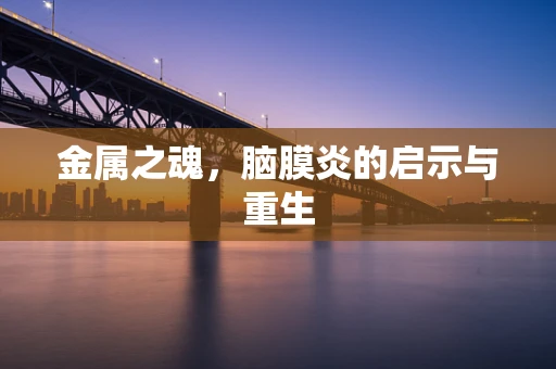 金属之魂，脑膜炎的启示与重生