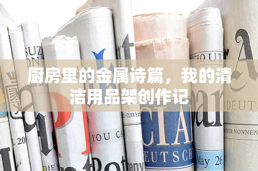 厨房里的金属诗篇，我的清洁用品架创作记