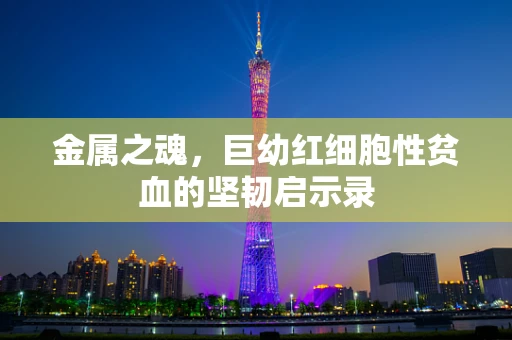 金属之魂，巨幼红细胞性贫血的坚韧启示录