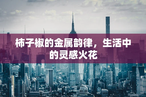 柿子椒的金属韵律，生活中的灵感火花