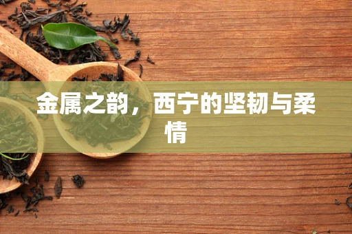 金属之韵，西宁的坚韧与柔情