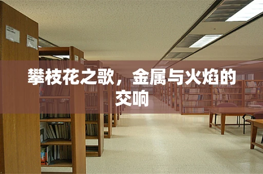 攀枝花之歌，金属与火焰的交响