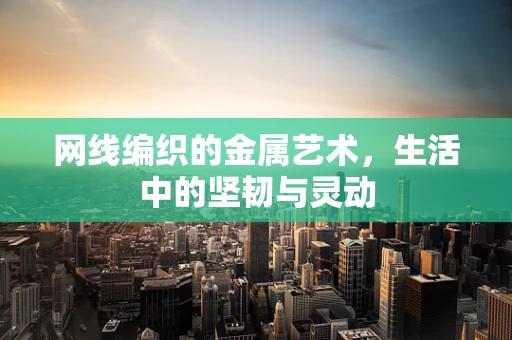 网线编织的金属艺术，生活中的坚韧与灵动