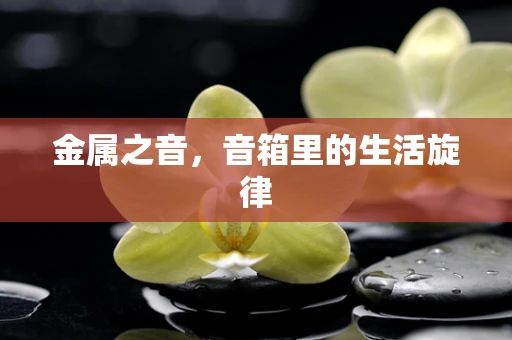 金属之音，音箱里的生活旋律