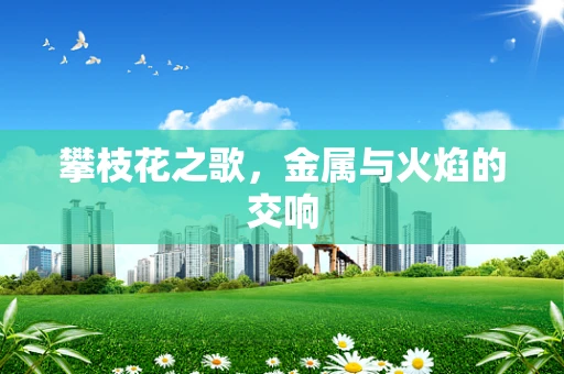 攀枝花之歌，金属与火焰的交响