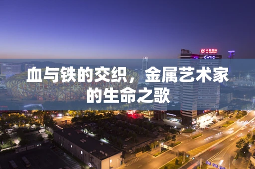 血与铁的交织，金属艺术家的生命之歌
