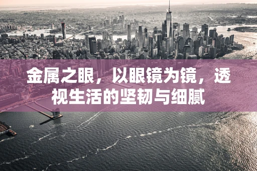 金属之眼，以眼镜为镜，透视生活的坚韧与细腻