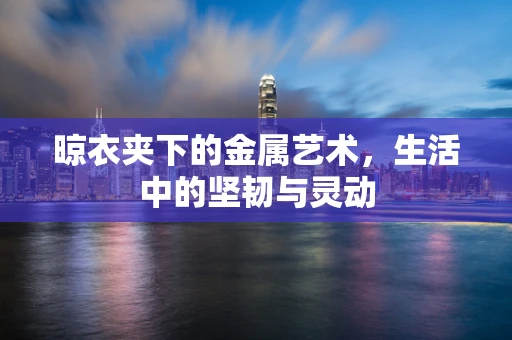 晾衣夹下的金属艺术，生活中的坚韧与灵动