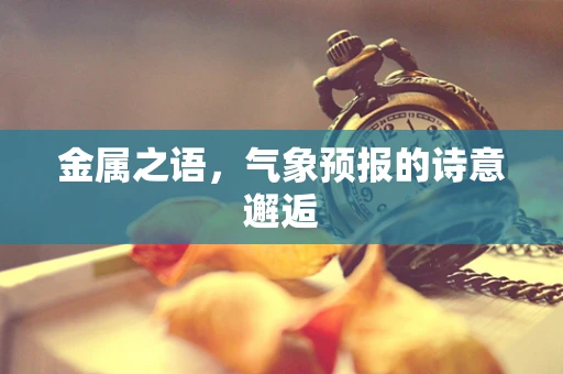 金属之语，气象预报的诗意邂逅