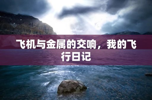 飞机与金属的交响，我的飞行日记