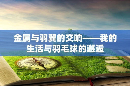 金属与羽翼的交响——我的生活与羽毛球的邂逅