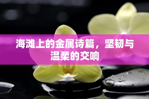 海滩上的金属诗篇，坚韧与温柔的交响