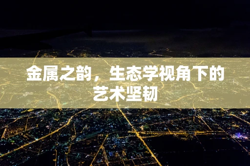 金属之韵，生态学视角下的艺术坚韧