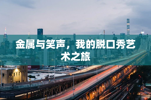 金属与笑声，我的脱口秀艺术之旅
