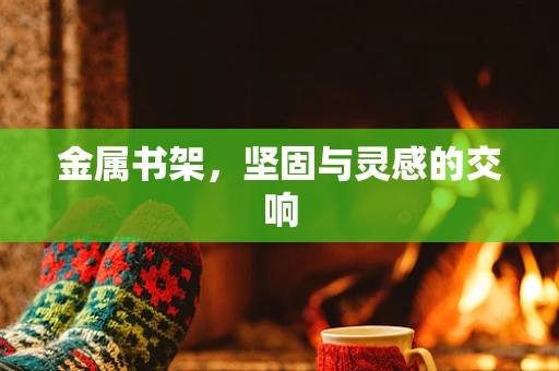 金属书架，坚固与灵感的交响