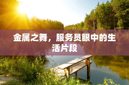 金属之舞，服务员眼中的生活片段