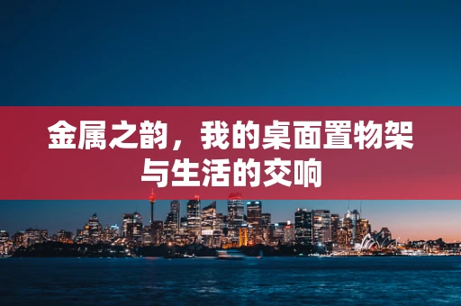 金属之韵，我的桌面置物架与生活的交响