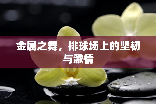 金属之舞，排球场上的坚韧与激情