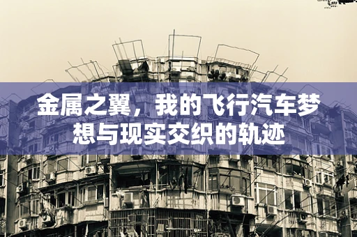 金属之翼，我的飞行汽车梦想与现实交织的轨迹