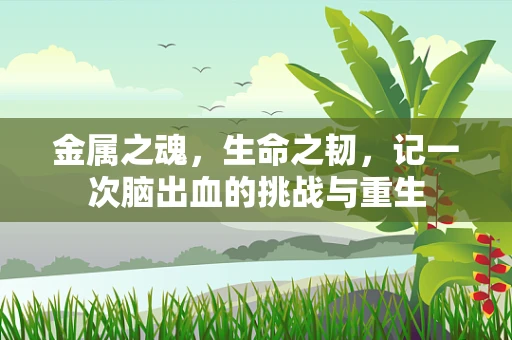 金属之魂，生命之韧，记一次脑出血的挑战与重生