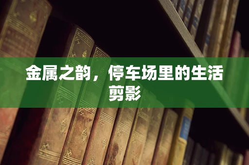金属之韵，停车场里的生活剪影