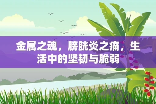 金属之魂，膀胱炎之痛，生活中的坚韧与脆弱