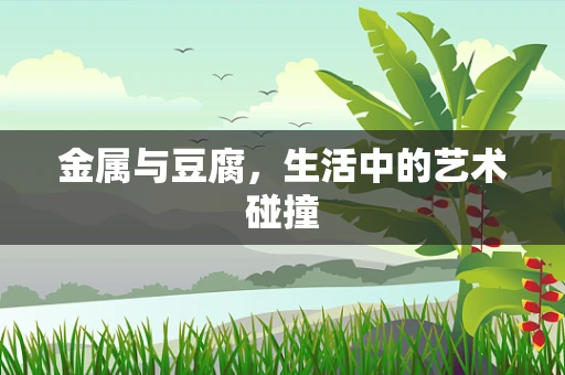 金属与豆腐，生活中的艺术碰撞