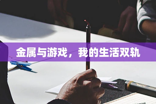 金属与游戏，我的生活双轨