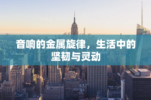 音响的金属旋律，生活中的坚韧与灵动