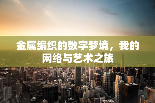 金属编织的数字梦境，我的网络与艺术之旅