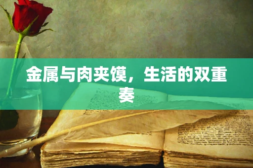 金属与肉夹馍，生活的双重奏