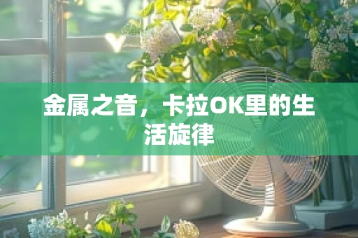金属之音，卡拉OK里的生活旋律