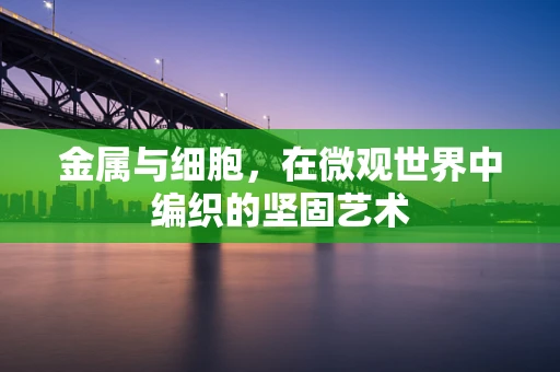 金属与细胞，在微观世界中编织的坚固艺术