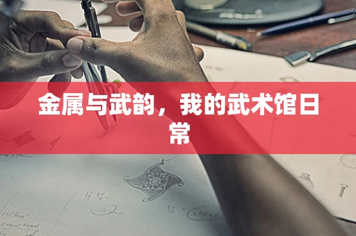 金属与武韵，我的武术馆日常