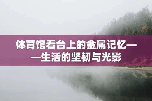 体育馆看台上的金属记忆——生活的坚韧与光影