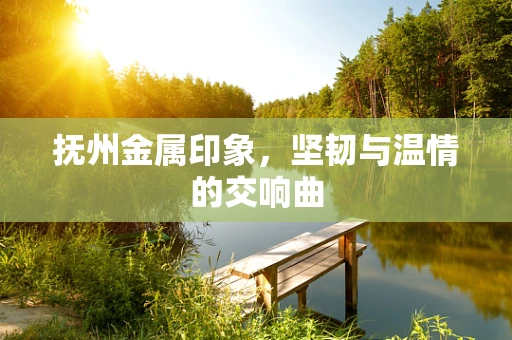 抚州金属印象，坚韧与温情的交响曲