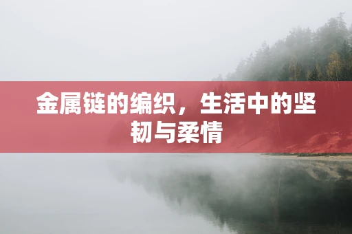 金属链的编织，生活中的坚韧与柔情