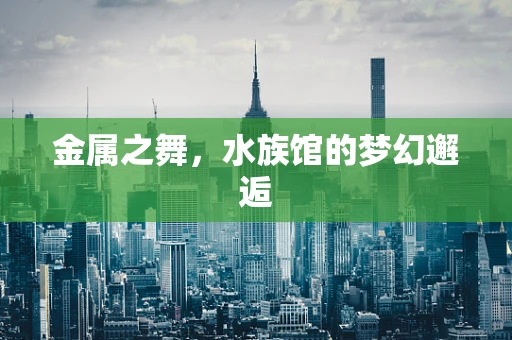 金属之舞，水族馆的梦幻邂逅