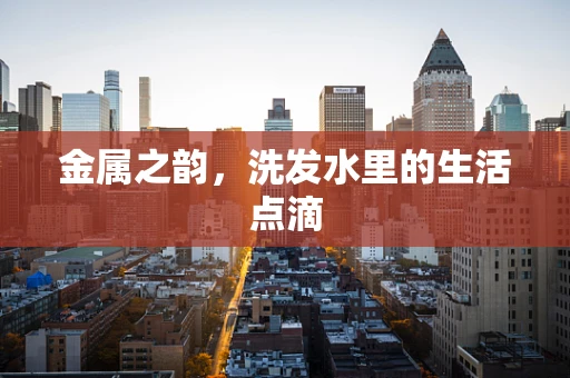 金属之韵，洗发水里的生活点滴