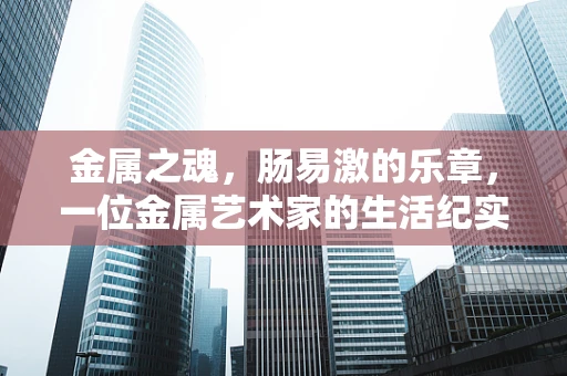 金属之魂，肠易激的乐章，一位金属艺术家的生活纪实