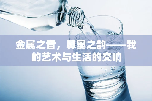 金属之音，鼻窦之韵——我的艺术与生活的交响