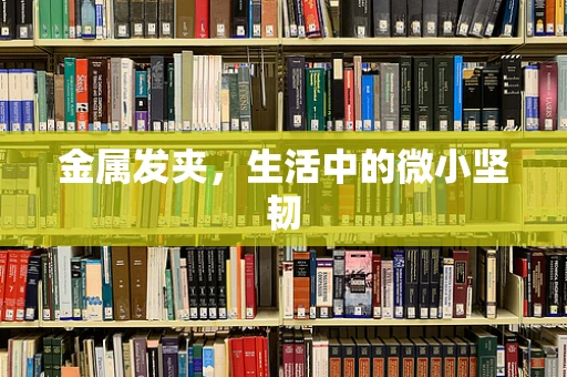 金属发夹，生活中的微小坚韧